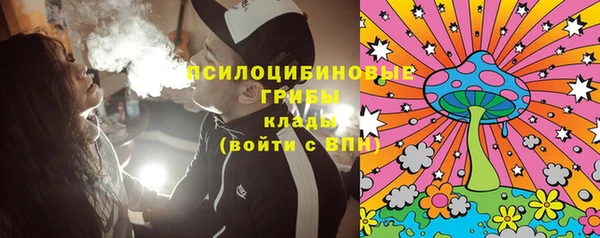 дживик Балахна
